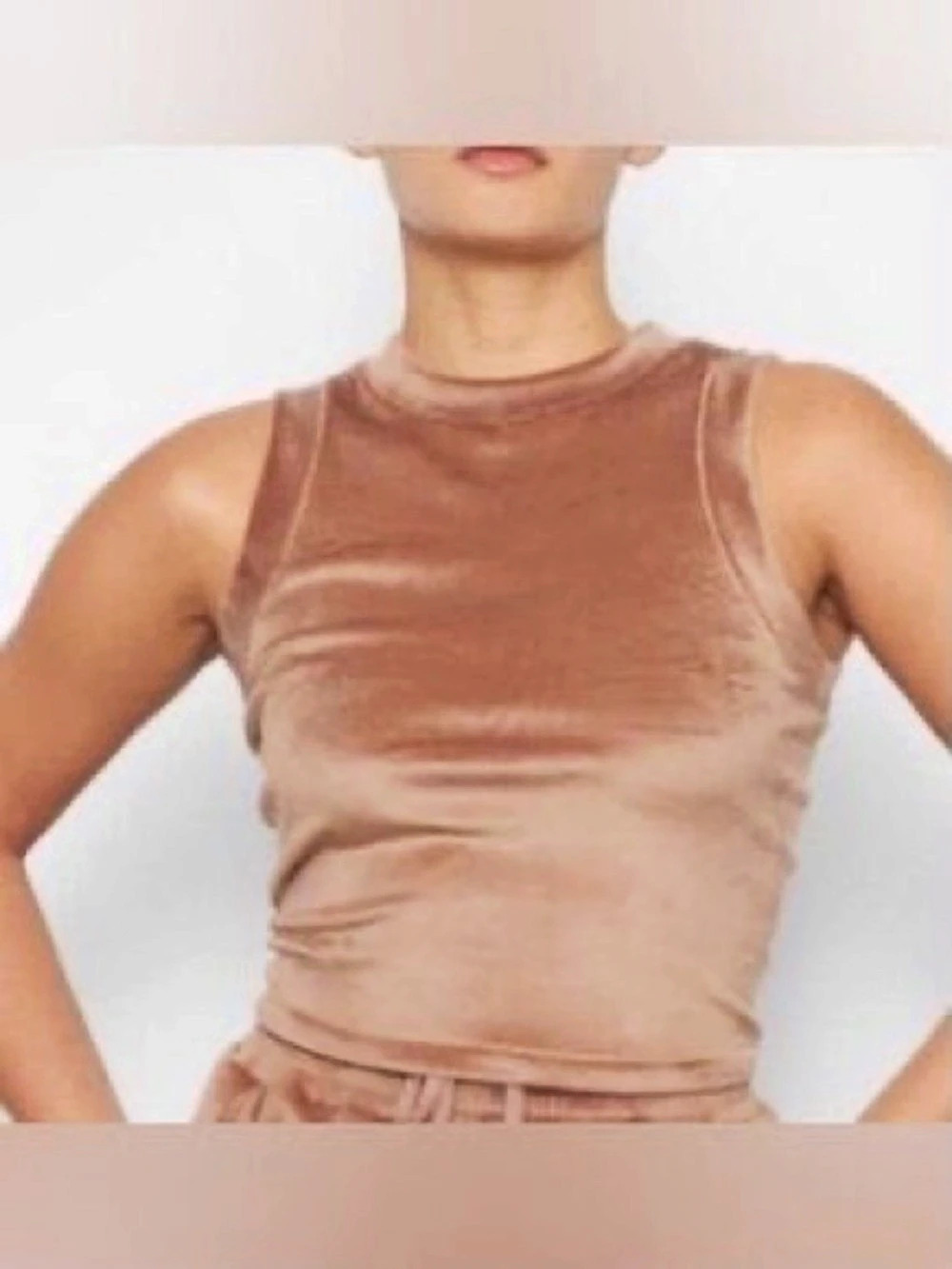 Skims - Velvet  Tank in Brown Size Large Like New